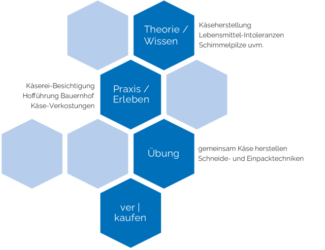 21 Seminar Grafik Bienenwaben web.png